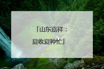 山东嘉祥：夏收夏种忙