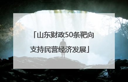 山东财政50条靶向支持民营经济发展