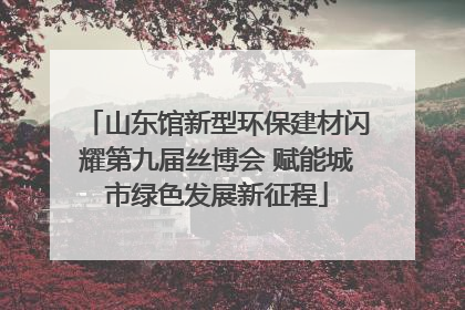 山东馆新型环保建材闪耀第九届丝博会 赋能城市绿色发展新征程