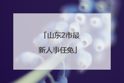 山东2市最新人事任免