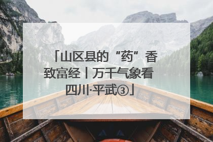 山区县的“药”香致富经丨万千气象看四川·平武③