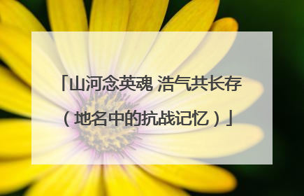 山河念英魂 浩气共长存（地名中的抗战记忆）