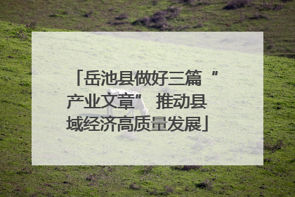 岳池县做好三篇“产业文章” 推动县域经济高质量发展