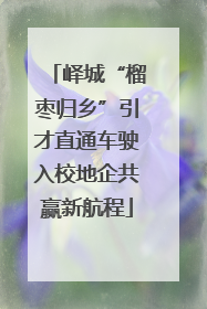 峄城“榴枣归乡”引才直通车驶入校地企共赢新航程