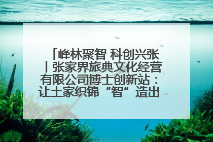 峰林聚智 科创兴张丨张家界旅典文化经营有限公司博士创新站：让土家织锦“智”造出非遗新传奇