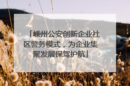 嵊州公安创新企业社区警务模式，为企业集聚发展保驾护航
