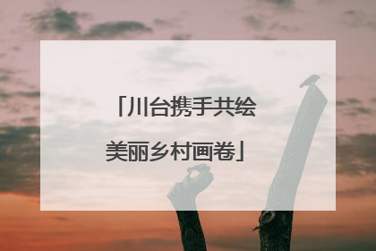 川台携手共绘美丽乡村画卷