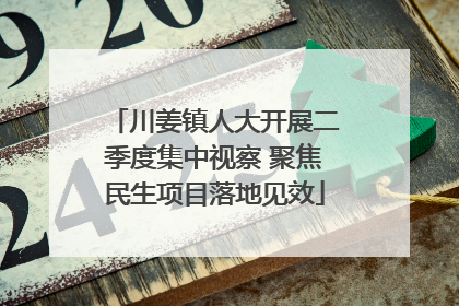川姜镇人大开展二季度集中视察 聚焦民生项目落地见效