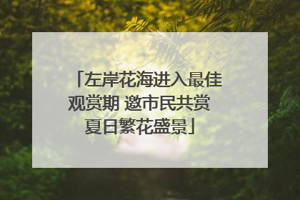 左岸花海进入最佳观赏期 邀市民共赏夏日繁花盛景