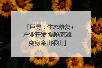 巨野：生态修复+产业开发 塌陷荒滩变身金山银山