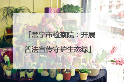 常宁市检察院：开展普法宣传守护生态绿
