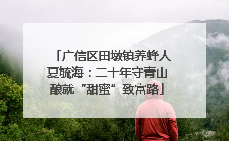 广信区田墩镇养蜂人夏毓海：二十年守青山酿就“甜蜜”致富路