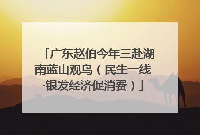 广东赵伯今年三赴湖南蓝山观鸟（民生一线·银发经济促消费）