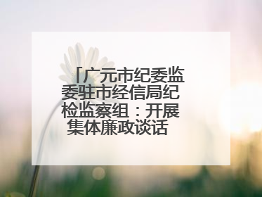广元市纪委监委驻市经信局纪检监察组：开展集体廉政谈话 敲响廉政警钟
