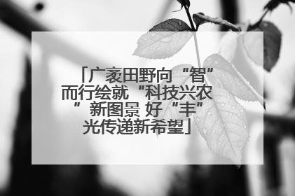 广袤田野向“智”而行绘就“科技兴农”新图景 好“丰”光传递新希望