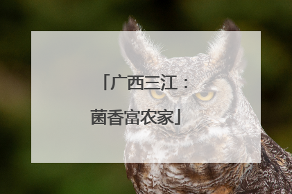 广西三江：菌香富农家