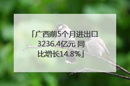 广西前5个月进出口3236.4亿元 同比增长14.8%