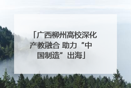 广西柳州高校深化产教融合 助力“中国制造”出海