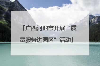 广西河池市开展“质量服务进园区”活动
