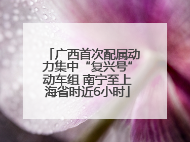 广西首次配属动力集中“复兴号”动车组 南宁至上海省时近6小时