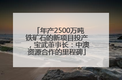 年产2500万吨铁矿石的新项目投产，宝武董事长：中澳资源合作的里程碑