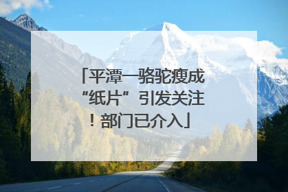 平潭一骆驼瘦成“纸片”引发关注！部门已介入