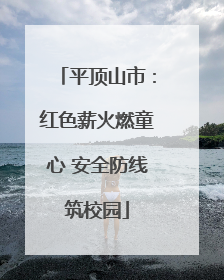 平顶山市：红色薪火燃童心 安全防线筑校园