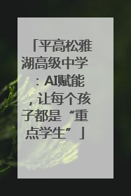 平高松雅湖高级中学：AI赋能，让每个孩子都是“重点学生”