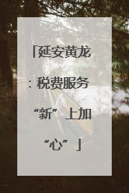延安黄龙：税费服务“新”上加“心”