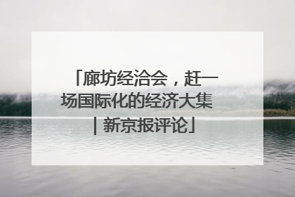 廊坊经洽会，赶一场国际化的经济大集｜新京报评论