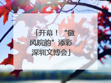 开幕！“徽风皖韵”添彩深圳文博会