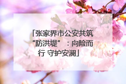 张家界市公安共筑“防洪堤”：向险而行 守护安澜