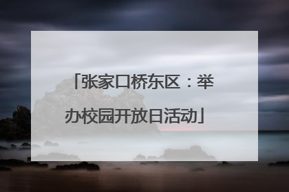 张家口桥东区：举办校园开放日活动
