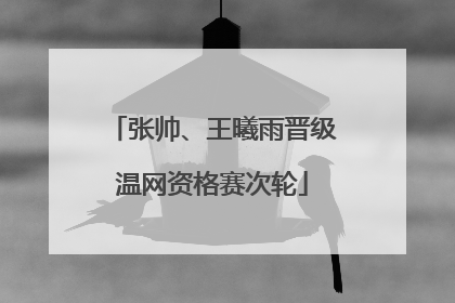 张帅、王曦雨晋级温网资格赛次轮