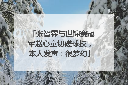 张智霖与世锦赛冠军赵心童切磋球技，本人发声：很梦幻