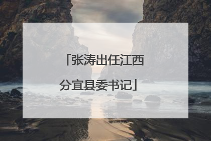 张涛出任江西分宜县委书记