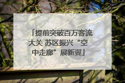 提前突破百万客流大关 苏区振兴“空中走廊”展新翼