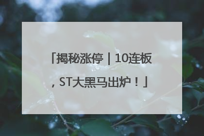 揭秘涨停｜10连板，ST大黑马出炉！