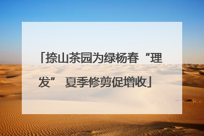 捺山茶园为绿杨春“理发” 夏季修剪促增收