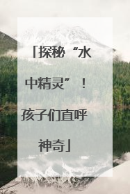 探秘“水中精灵”！孩子们直呼神奇