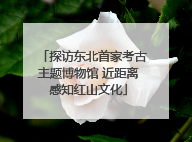 探访东北首家考古主题博物馆 近距离感知红山文化