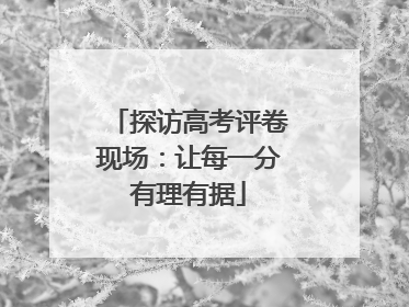 探访高考评卷现场：让每一分有理有据