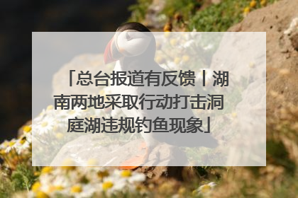 总台报道有反馈丨湖南两地采取行动打击洞庭湖违规钓鱼现象
