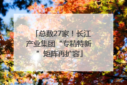 总数27家！长江产业集团“专精特新”矩阵再扩容