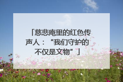 慈悲庵里的红色传声人：“我们守护的不仅是文物”