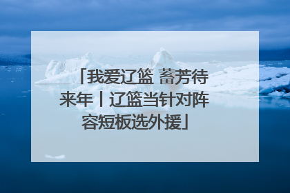 我爱辽篮 蓄芳待来年丨辽篮当针对阵容短板选外援