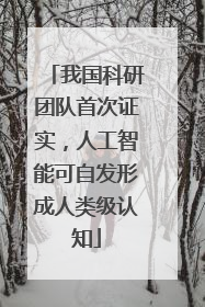 我国科研团队首次证实，人工智能可自发形成人类级认知