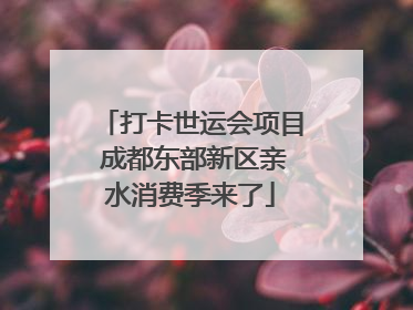 打卡世运会项目 成都东部新区亲水消费季来了