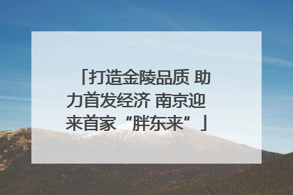 打造金陵品质 助力首发经济 南京迎来首家“胖东来”