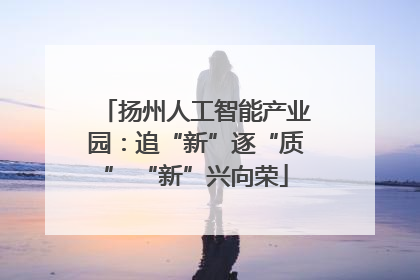 扬州人工智能产业园：追“新”逐“质” “新”兴向荣